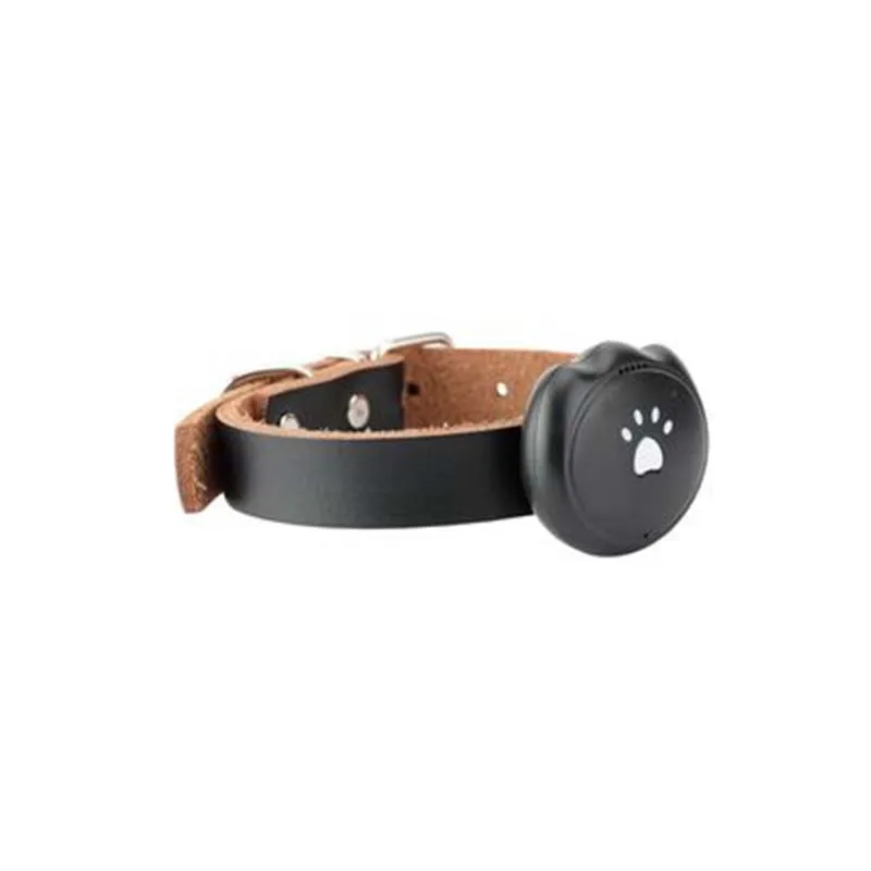 

Of Money of Sell like Hot Cakes Pet Dog GPS Locator Cat Animal Collar Anti-Go Lost Tracker Waterproof Dog Tracker