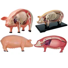 Съемный Аниме свинья анатомический медицинский анатомический животный модель Puzzels для детей Скелет умная обучающая игрушка с органов