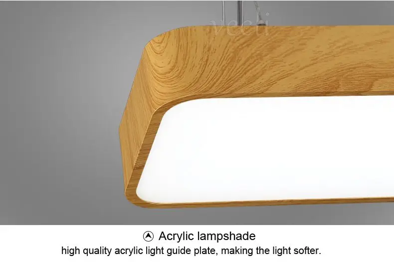 pendant lamp (18)