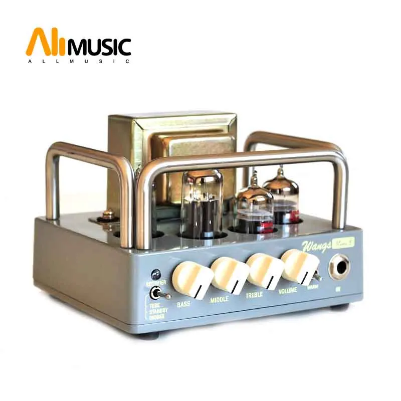 

Electric All Tube Guitar Amplifier Head Biyang Wangs MINI 5 AMP Head Adjust Volume And Tone