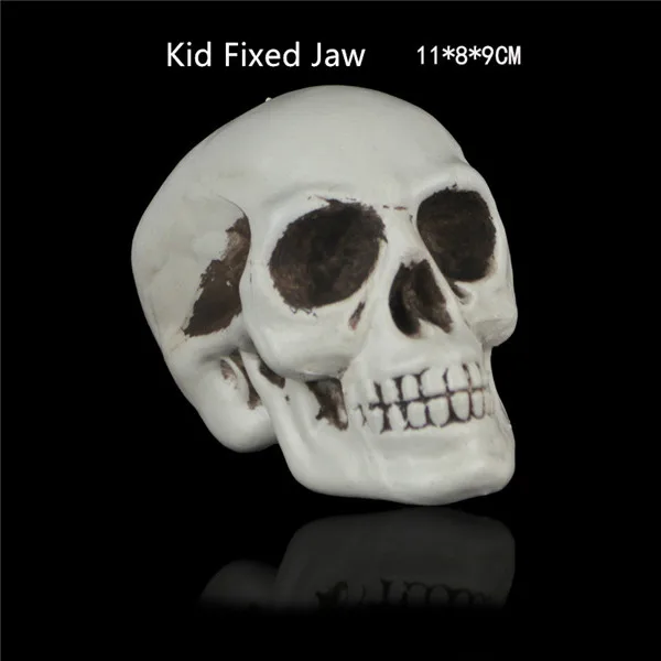 Scary Skeleton Heads Figure Halloween party supply gifts - 6. Kid Fixed Jaw size