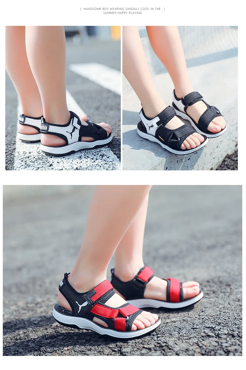 8574487056_1919636530