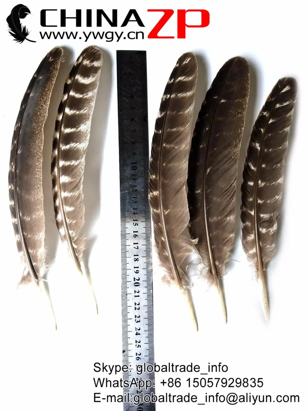 20-25cm (4)