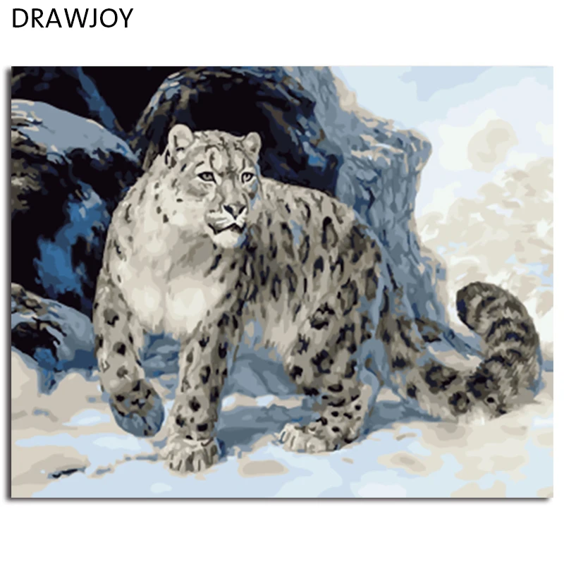 

DRAWJOY Framed Animal Leopard DIY Painting By Numbers On Canvas Painting And Calligraphy Wall Art For Home Decor 40x50