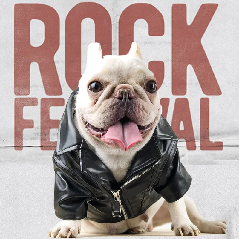 French Bulldog Motorcycle Leather Jacket Appearance Fashion Pet