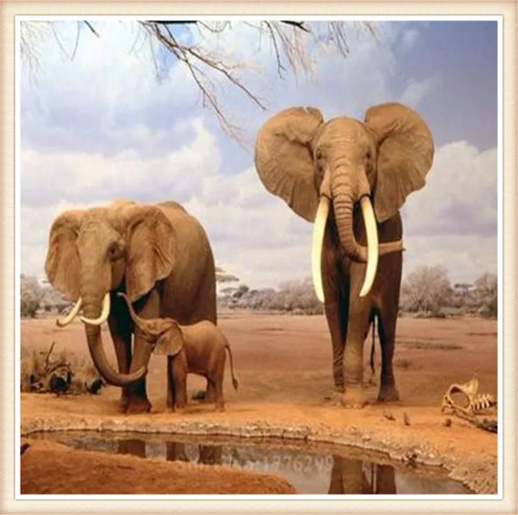

Elephants Diamond embroidery Diy diamond Painting Cross Stitch painting square 5D Needlework diamond Mosaic Home Decoration