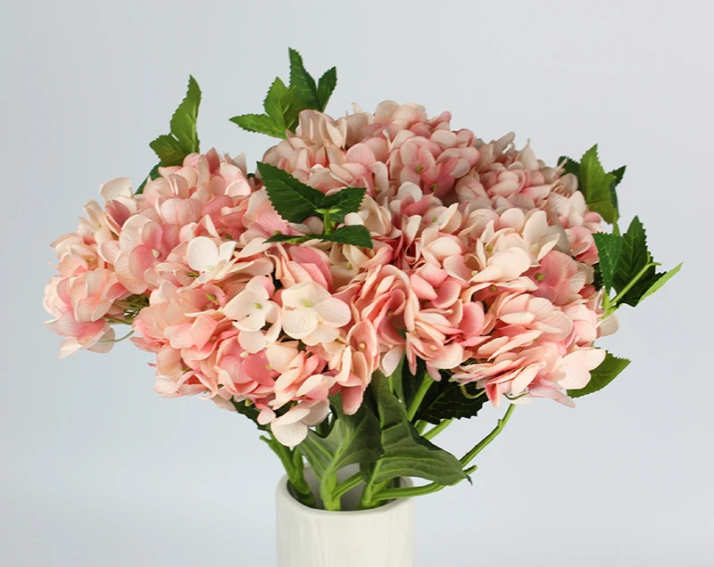 5pink