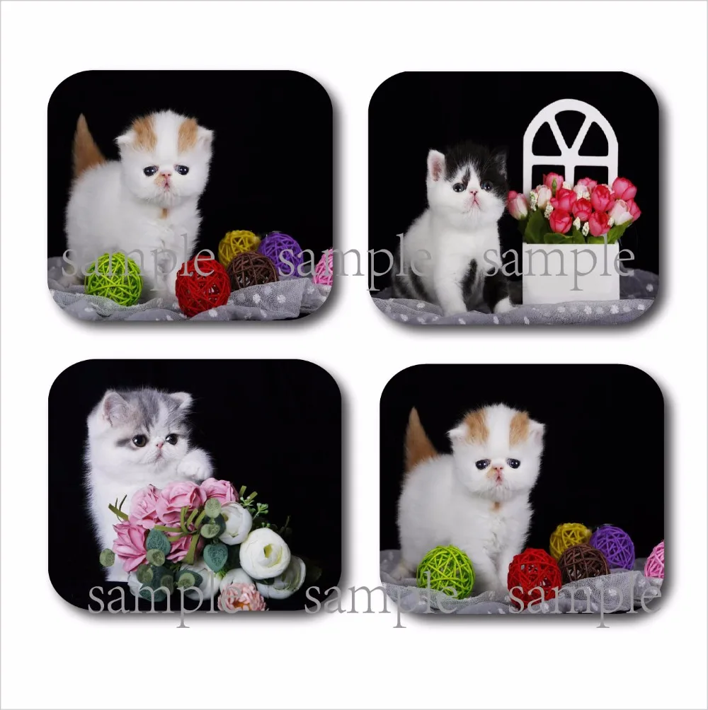 cat coaster set