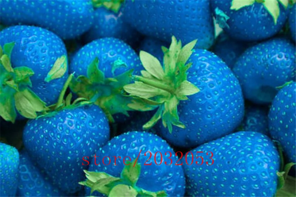 300pcs/bag rainbow strawberry ,giant strawberry,rare bonsai organic fruit 300pcs/bag rainbow strawberry ,giant strawberry,rare bonsai organic fruit