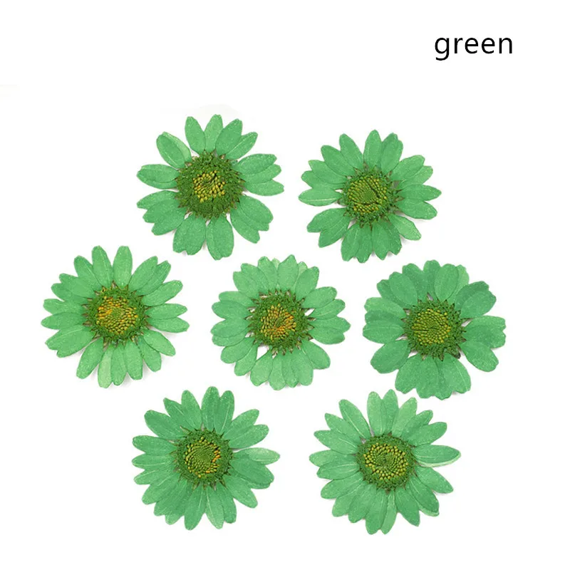 4200554373_1099731935