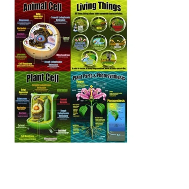 Mcdonald Publishing MC-P077 Life Science Teaching Poster Set