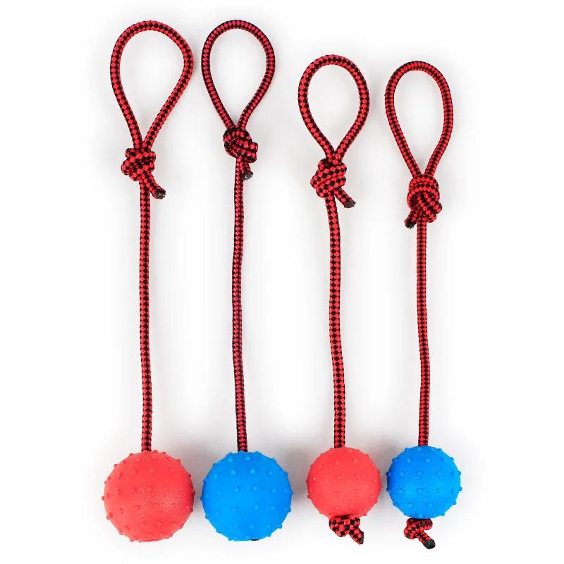 

New Rubber Pet Toy rubber portable Ball dog toy