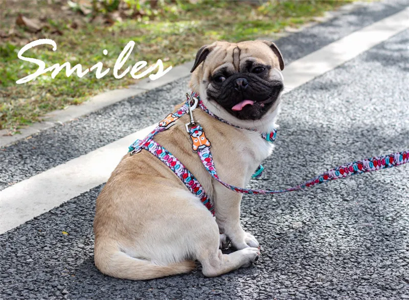 Модные дизайнерские собачьи ошейники с принтом без побега нейлоновый H стиль поводок для собаки набор прогулок для маленьких для средних и больших собак