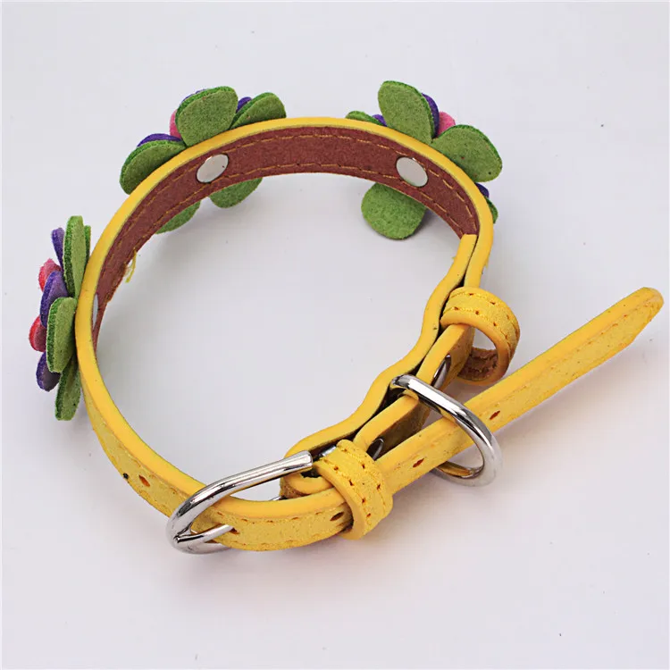 dog collars (7)