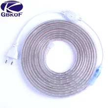 5050 Flexible LED Strip light AC220V 60leds/m Waterproof IP67 Led Tape LED Light With EU Power Plug 1M/2M/3M/8M/9M/10M/20M