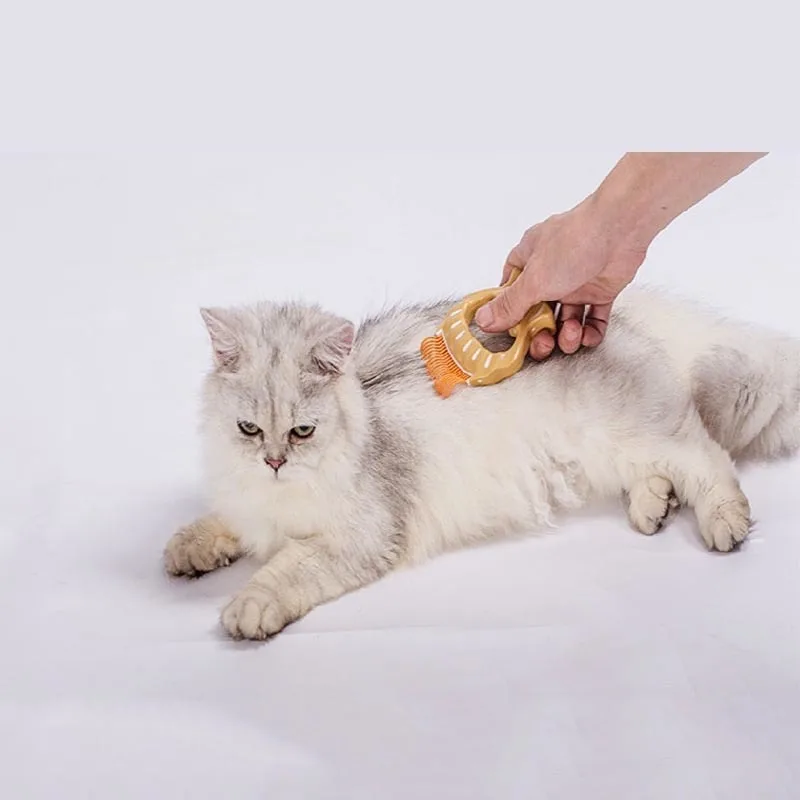 Pet Comb Plastic Shell Kitty Favorite Ins Claw Massage Comb