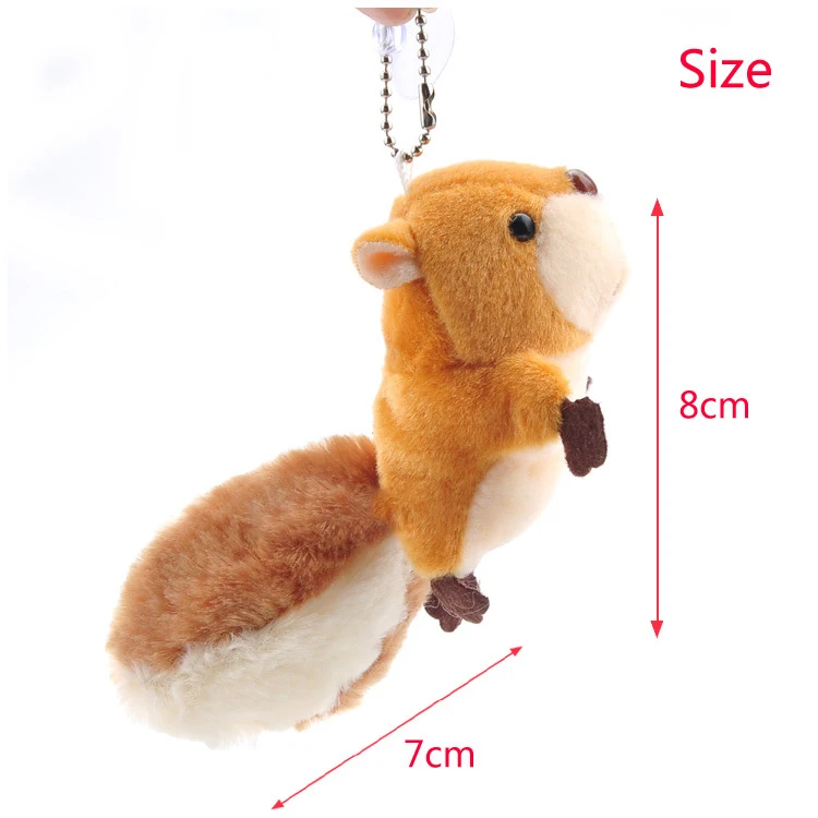 squirrel (6)