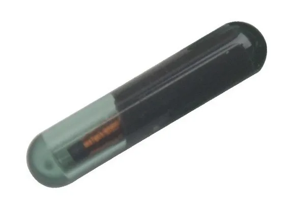 t5 glass 1