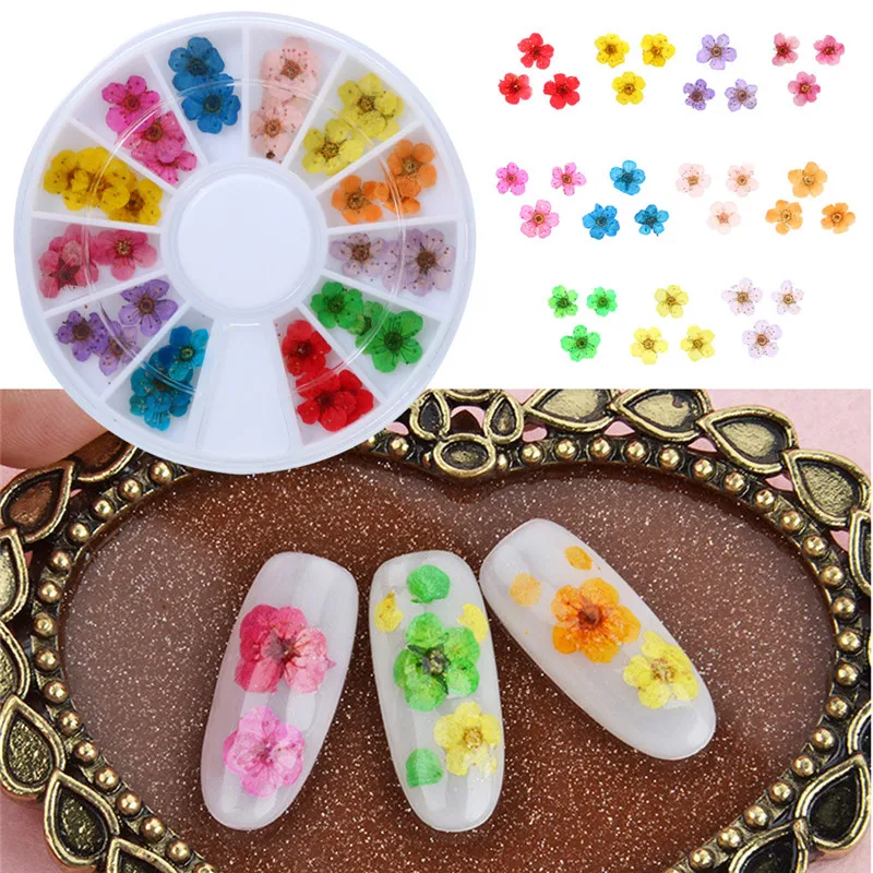 Mixed Dried Flowers 3D Nail Art DIY Bottle nail art decorations Flower