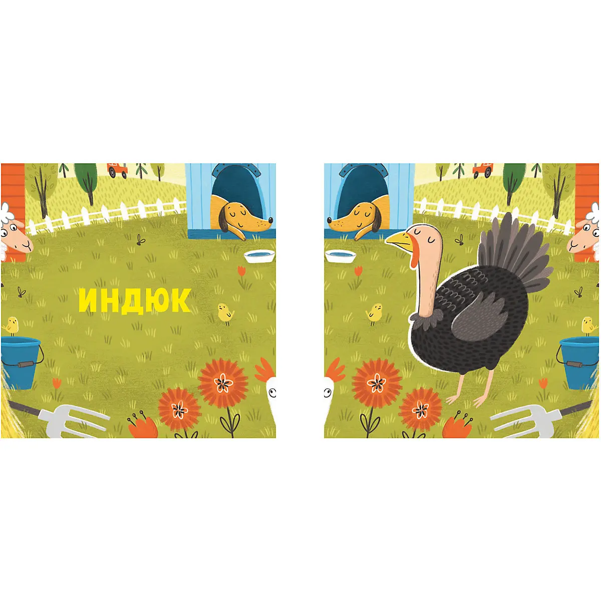 Книжка с загадками Кто живет на ферме?, М. Дружинина
