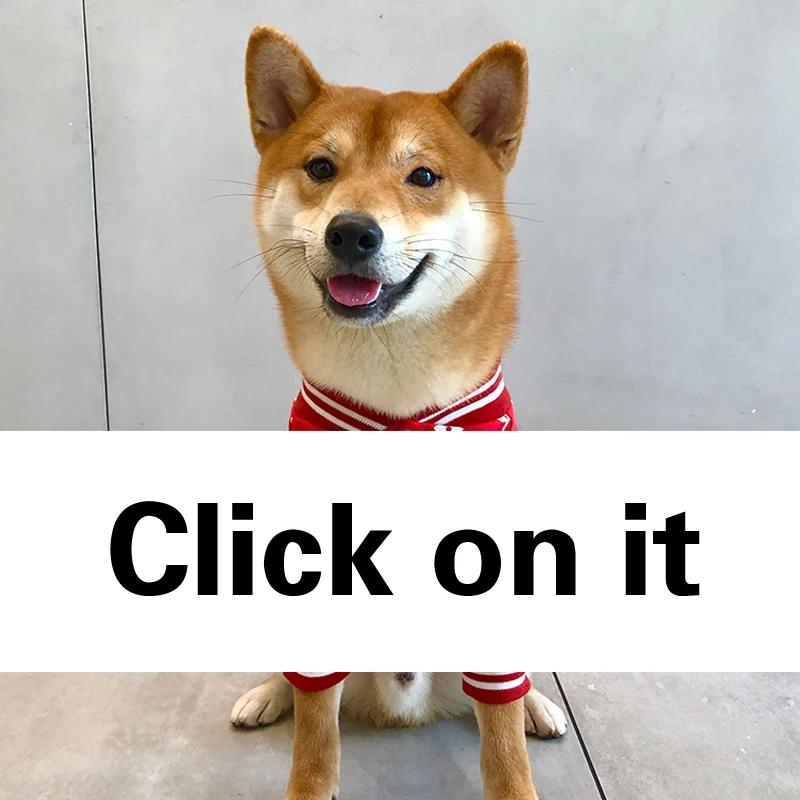 

Fashion Brand New Dog Clothes For Small Dogs Medium-sized Dog Pet Clothing For Cats Quality Comfortable Clothes For Bulldogs