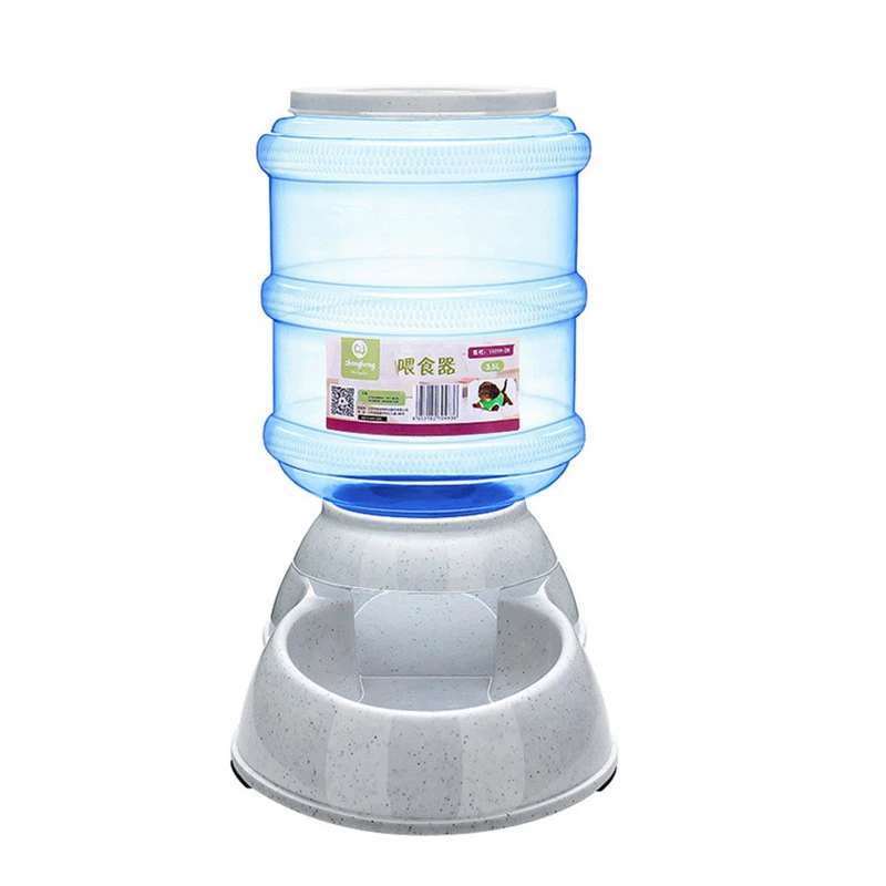 Chien Boire Depuis Fontaine Eau Venise Italie Vue élevée Banque Dimage