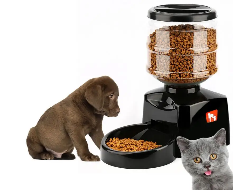 electronic dog feeder