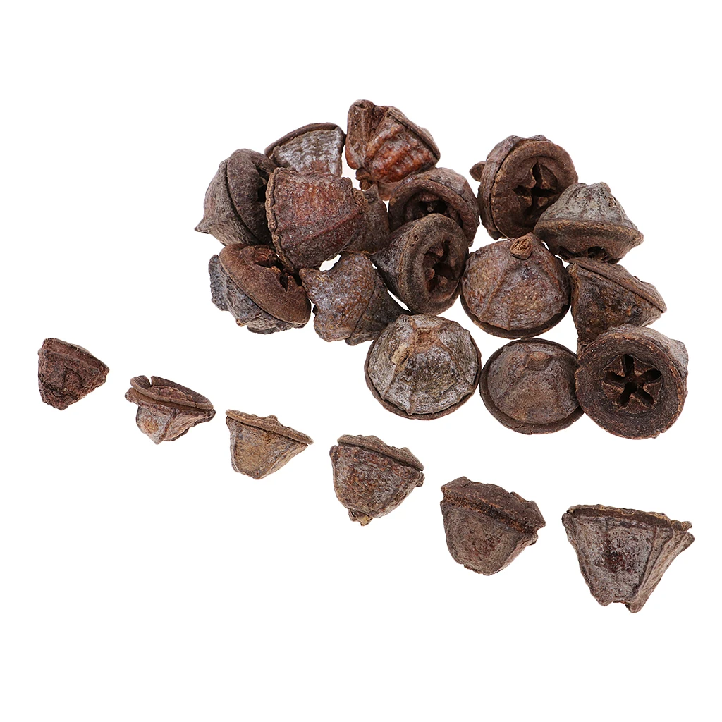 50pcs Natural Dried Flowers Fruit for Wedding Party Christmas Decoration Festival Xmas Ornament Home DIY Crafts Supplies