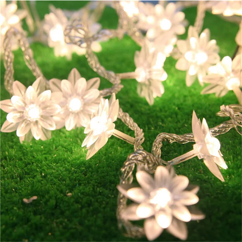 20 Led String Lights Battery Operated Christmas Fairy Lights Warm