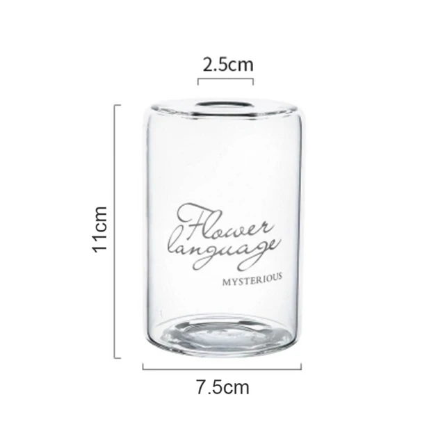 Hydroponic Transparent Flower Vase - Home & Garden