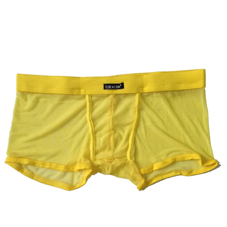 Hot! 2017 New Famous Brand Underwears Men's Boxers Shorts Sexy Mesh Men Panties Sexy Trunks shorts for Men Calecon Homme (1)