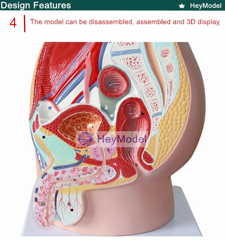 4 _