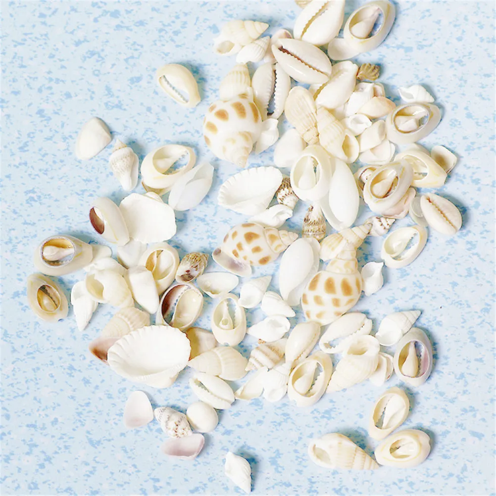 

1Bag Small Miscellaneous Conch Natural Craft Sea Shell Aquarium Fish Tank Landscape Home Decor DIY Material 30g Random Style