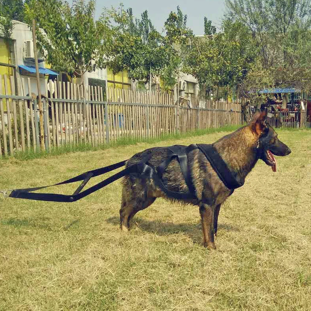 Товары для дрессировки собак от поставщика, игрушки K9, собачьи лакомства, тренеры, аксессуары для домашних животных, регулируемые для средних и больших собак, немецкая овчарка