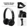 Portable Audio 