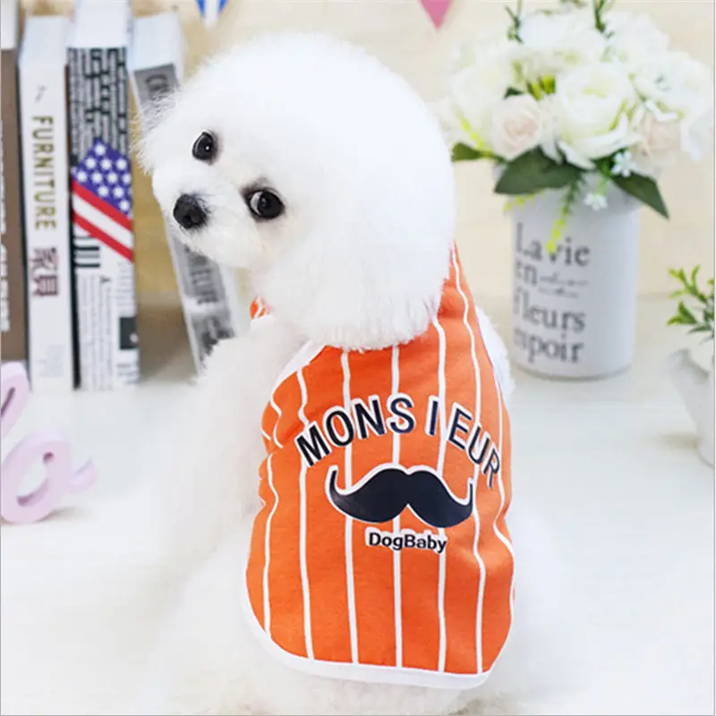 QQ20190301141955