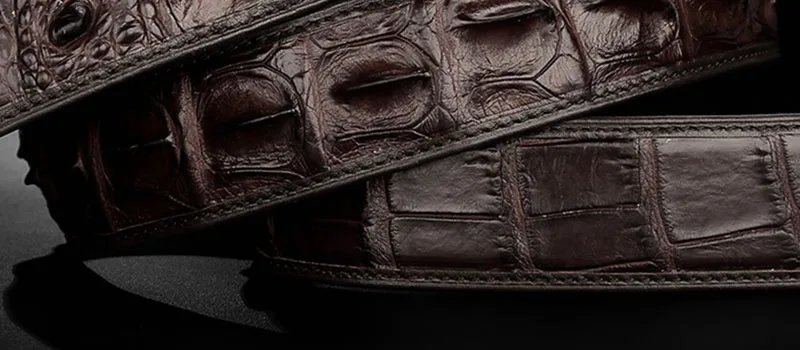 FAJARINA, высокое качество, Крокодиловая Кожа, ремни из нержавеющей стали, автоматическая пряжка, модный ремень, для мужчин, 33 мм, широкий, роскошная упаковка, EYFJ14