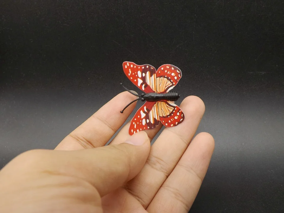 I257-Butterfly (2)