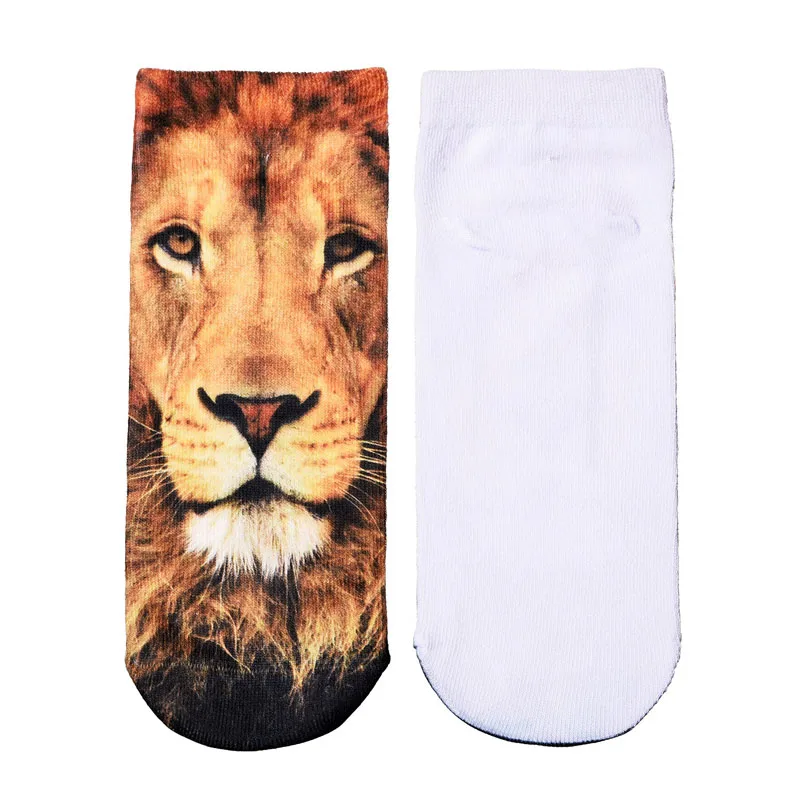 HTB1p6hDOXXXXXXEaXXXq6xXFXXXZ