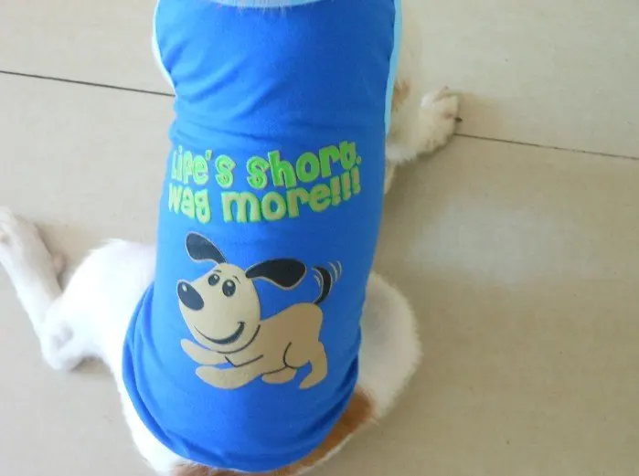 Tangpan темно-синяя майка для собак, топ, рубашка, жилет, летняя одежда для Йорки Мальтезе