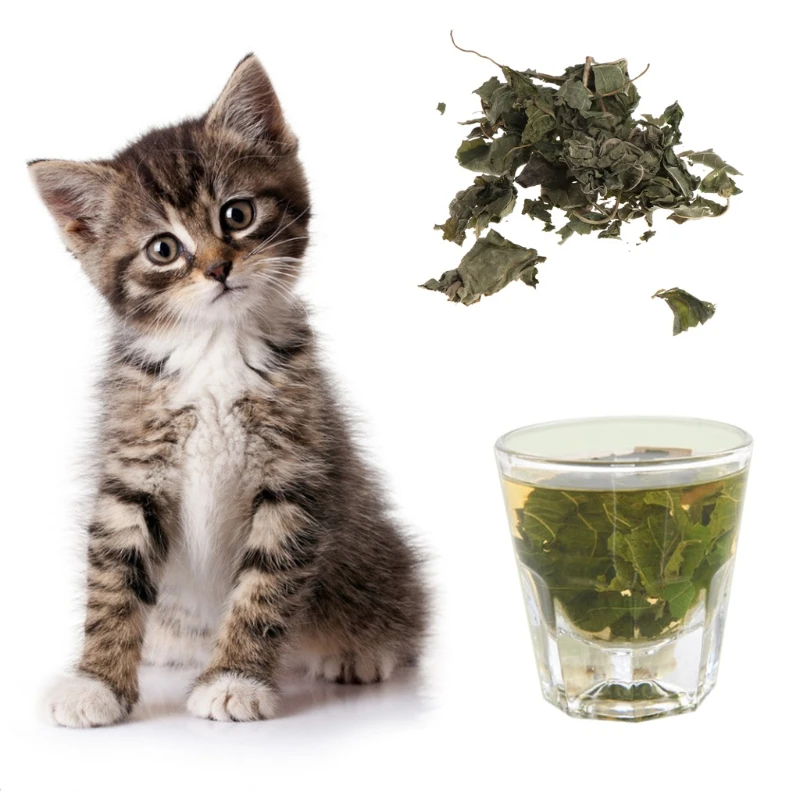 

Natural Silvervine Leaves Cat Catnip Dried Polygonum Matatabi Toys Flavor Snacks Silvervine Leaves