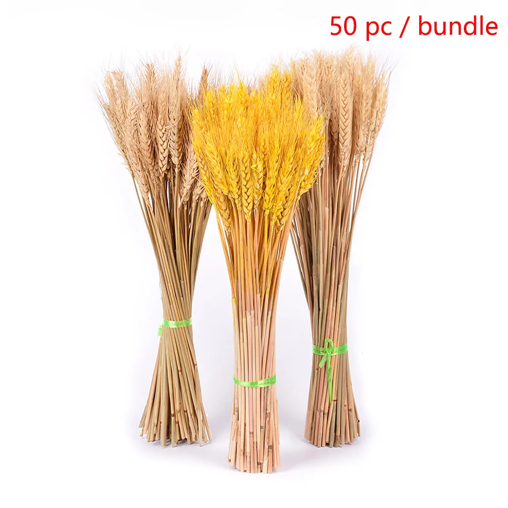 

50Pcs/lot Real Wheat Ear Flower Natural Dried Flowers for Wedding Party Decoration DIY Craft Scrapbook Home Decor Wheat Bouquet