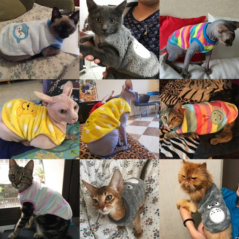 Dessin Anime Mignon Chat Costumes Vetements Pour Petits Chats Chiens Hiver Chaud Doux Polaire Kitty Chaton Vetements Tenues Pet Chat Manteau Vestes Aliexpress