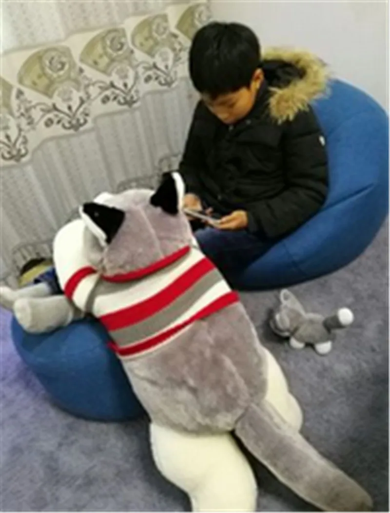 husky dog15
