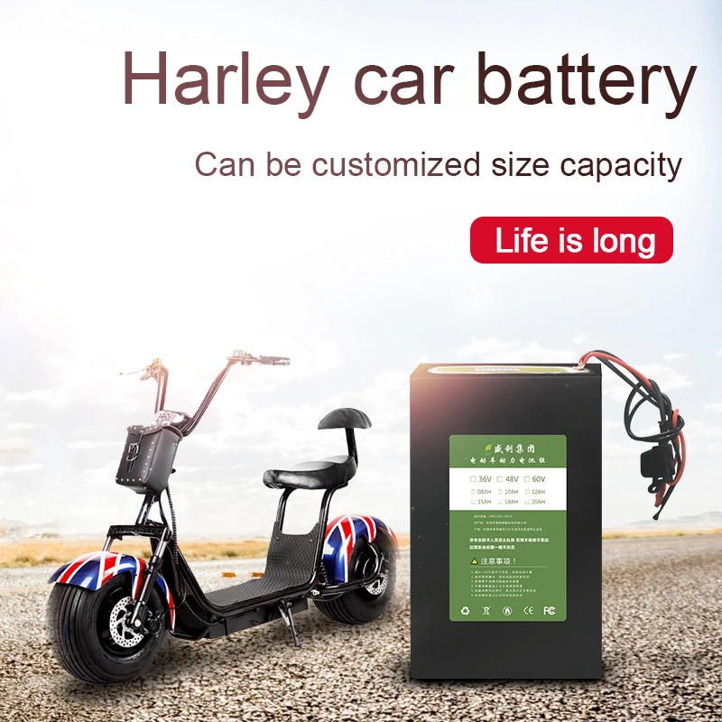 

Kanavano 60v 20AH lithium ion battery Li-ion Battery Pack Capacity for harley scooter LiFePO4 for Bikes eletric vehicle 18650