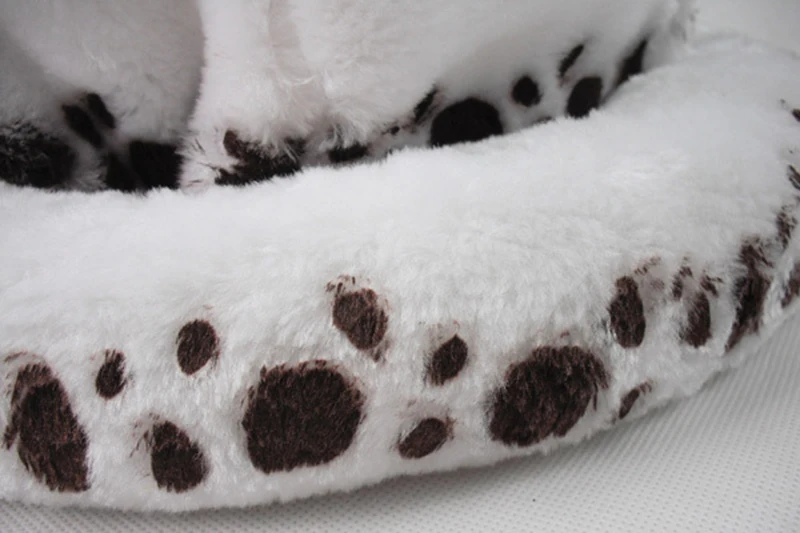 465717601_1229256165