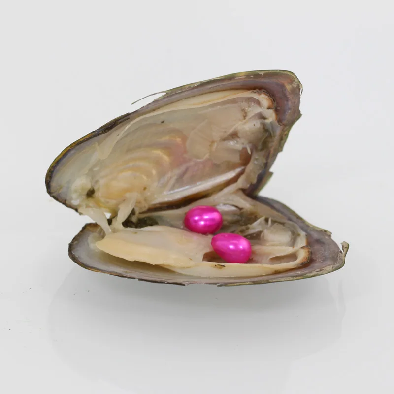 жемчужина в мидии