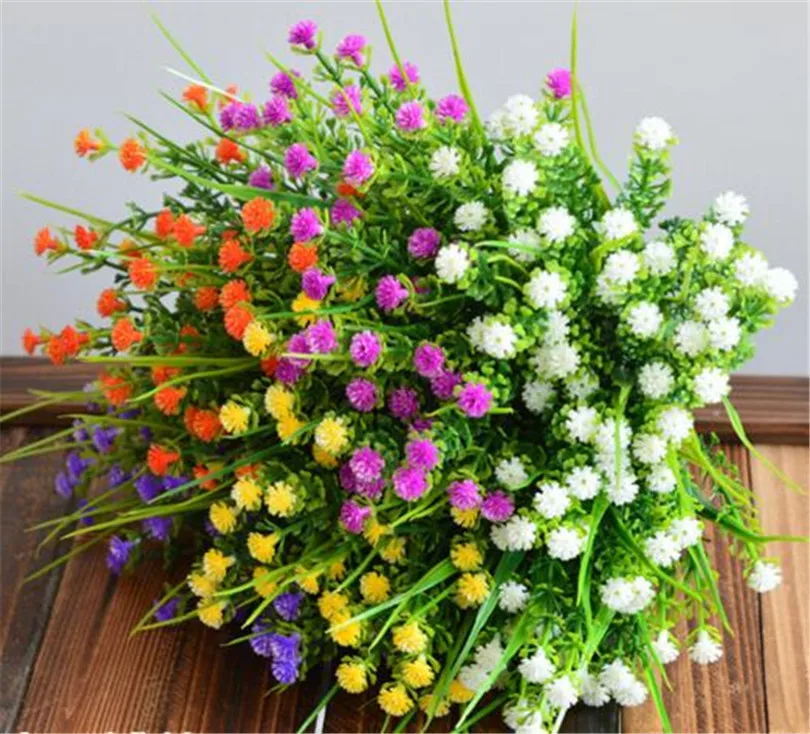 Compare Prices on Colored Leaf Plants Online Shopping/Buy Low Price