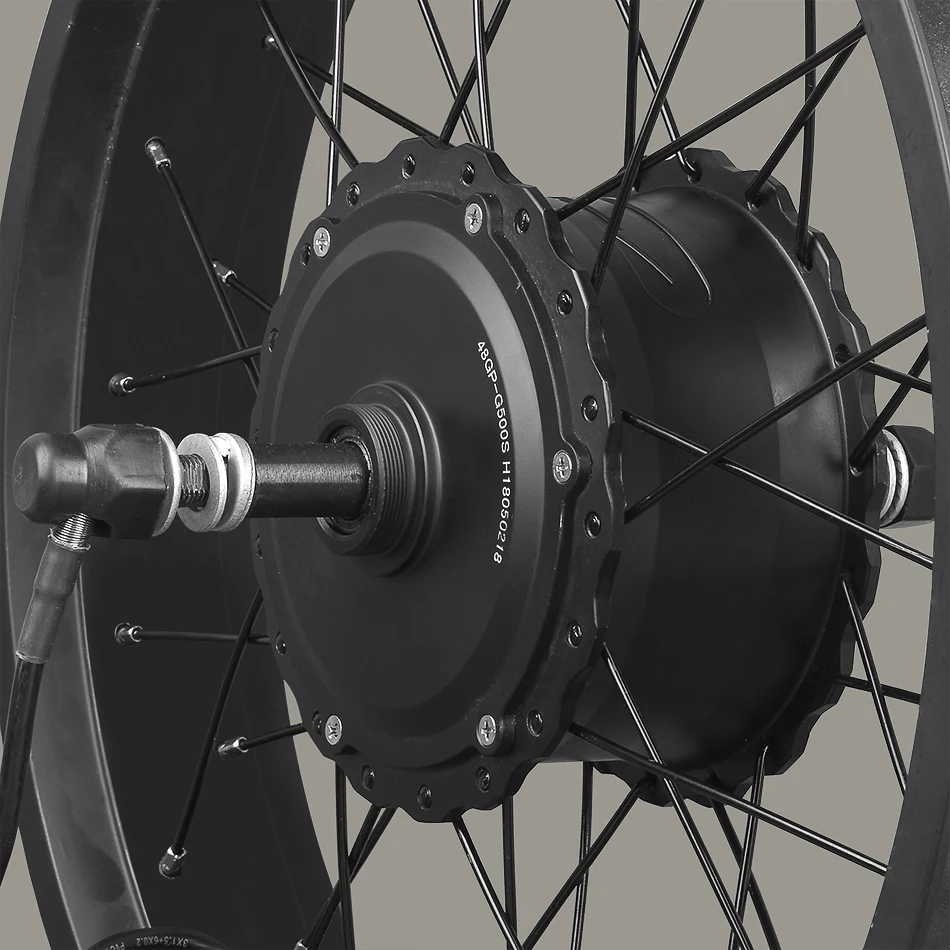 Clearance 48V 750W Electric Bike Rear Motor Wheel 20 26 inch 4.0 Rim Fat Bike Rear Snow Wheel LED LCD Brushless Controller Conversion Kit 5