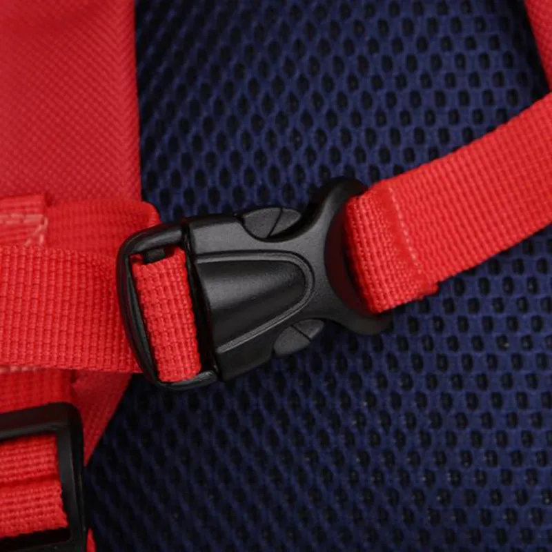 3288835083_141987698